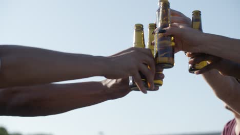 cropped shot of young people clinking bottles during sunny day.