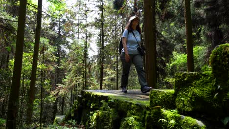 woman hikes alone on a mossy stone path in a lush forest in zhangjiajie, china