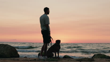 man and dog silhouetted against a sunset beach
