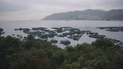 hong kong ma wan fishing village nature landscape
