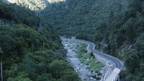 Birds-flying-around-drone-in-national-forest-in-California,-green-valley-with-river