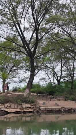 canalside trees and steps