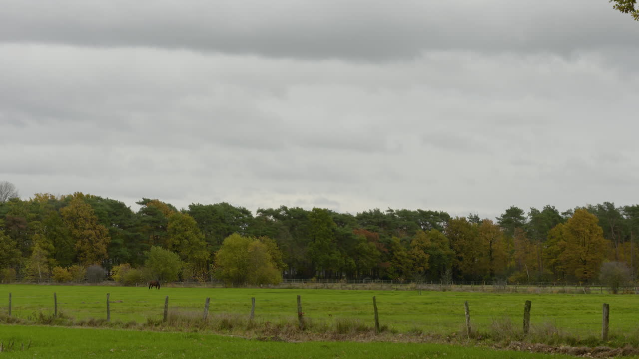 가을의 자연색 풍경, 거리에 낙엽이 떨어지는 느낌