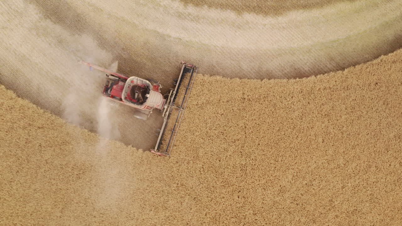 Above combine harvester reaping ripe golden grain on rural field