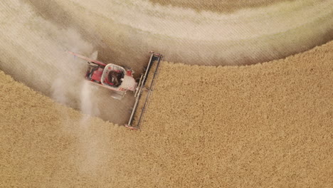 Above-combine-harvester-reaping-ripe-golden-grain-on-rural-field