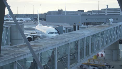 temprano en la mañana el aeropuerto disparó con palmas