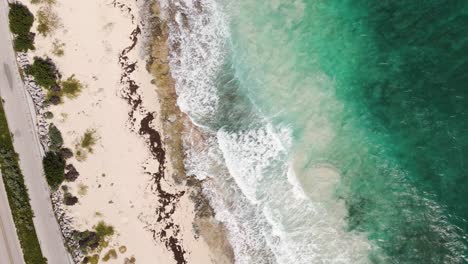 Bird's-eye-view-drone-shot-of-the-beautiful-coastline-of-Cozumel-Mexico-with-incredible-turquoise-water-crashing-into-the-sandy-beaches-in-4k