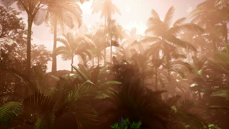 Sunset-Beams-through-Palm-Trees