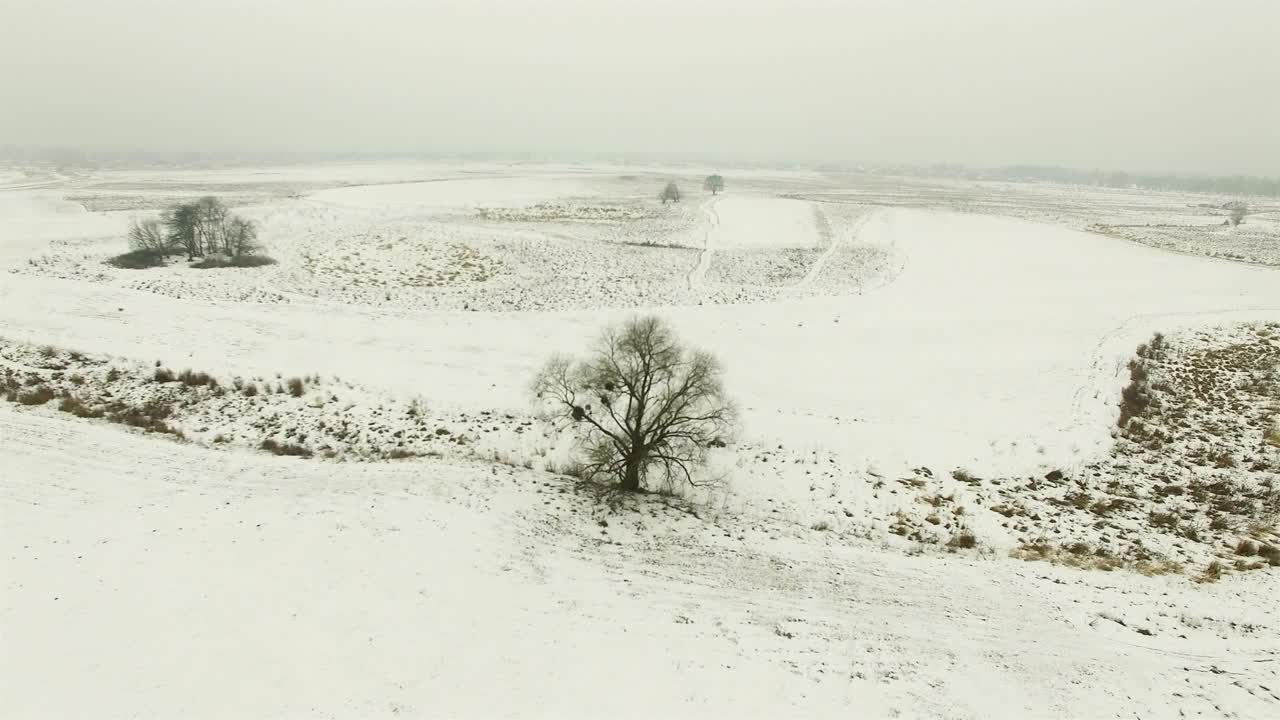 4k 항공기: 나무와 함께 얼어붙은  위를 날아가는 겨울 구름이 많은 날