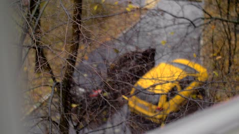 street view in autumn. falling rain with snow and bare trees