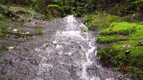 La-Corriente-Clara-En-El-Valle-Fluye-Hacia-Abajo-Desde-Las-Piedras-Cubiertas-De-Musgo