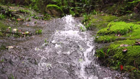 the clear stream in the valley flows down from mossy stones