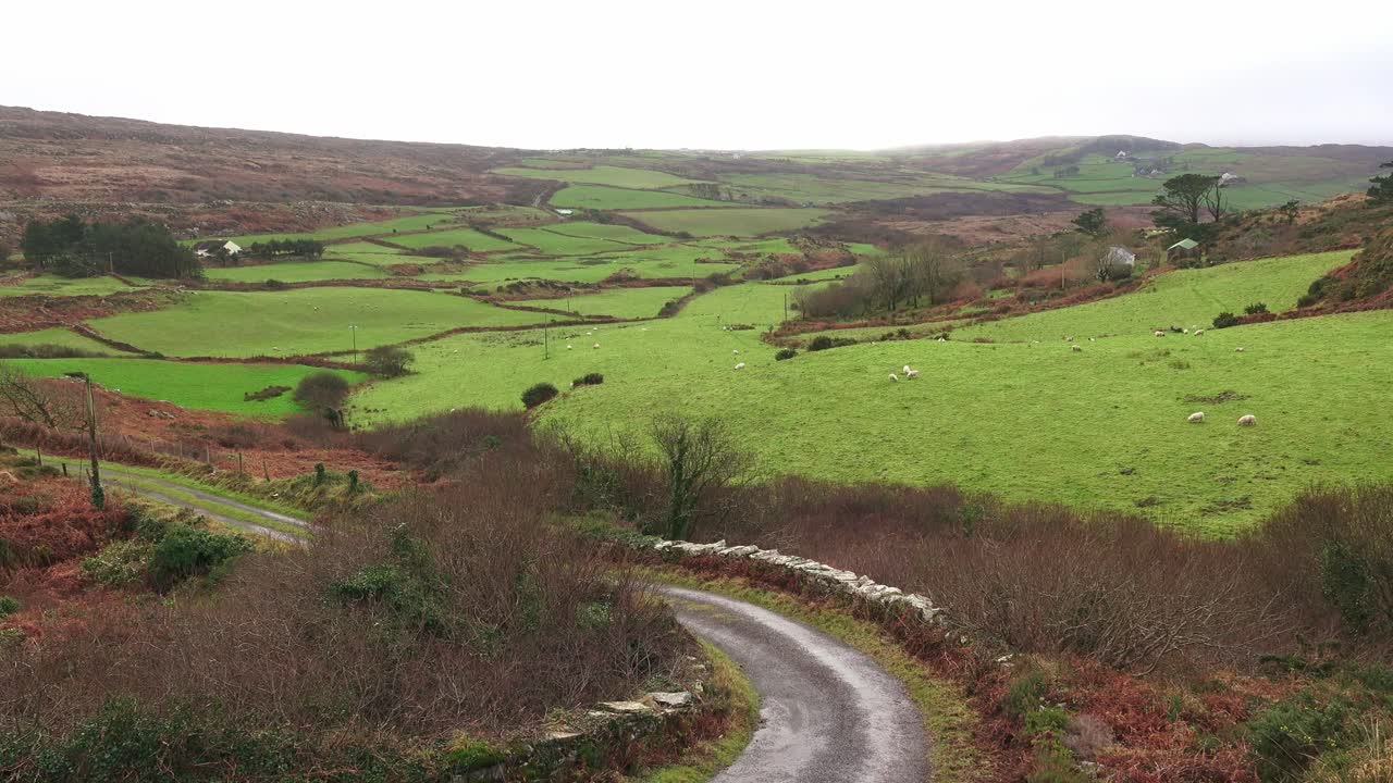 Wild beauty country lane winds through remote farmland in Sheeps Head West Cork Ireland in Winter