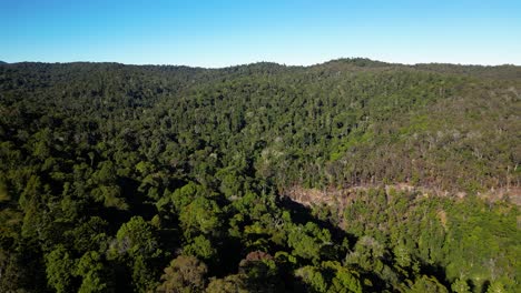 Aerial-over-the-Western-side-of-Lamington-National-Park,-Gold-Coast-Hinterland,-Scenic-Rim