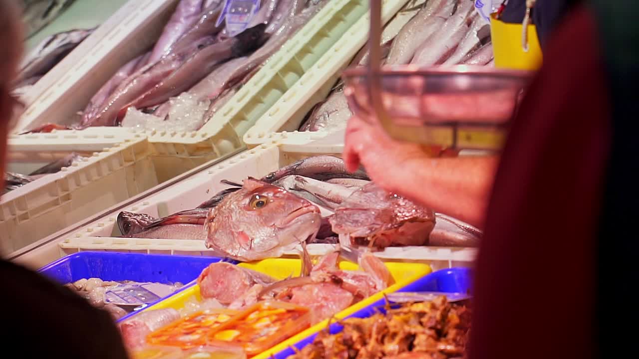 primer plano de pescado fresco exhibido en el mercado de pescado, puerto de barbate, cádiz