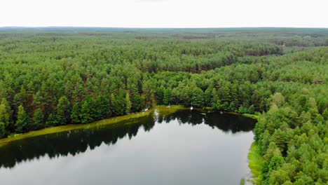 Reichlich-Grüner-Wald,-Der-Tagsüber-Den-Ruhigen-See-In-Pradzonka,-Polen,-Umgibt