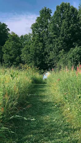 nature path with artistic feature