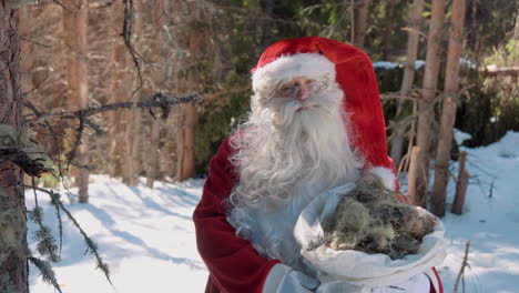 santa está parado en el bosque con un saco lleno de musgo en sus manos