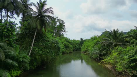 Volando-Sobre-El-Río-Caue-Siguiendo-Un-Pájaro-Y-Revelando-La-Belleza-Del-Bosque-Verde-Del-Sur-De-Santo-Tomé,-África