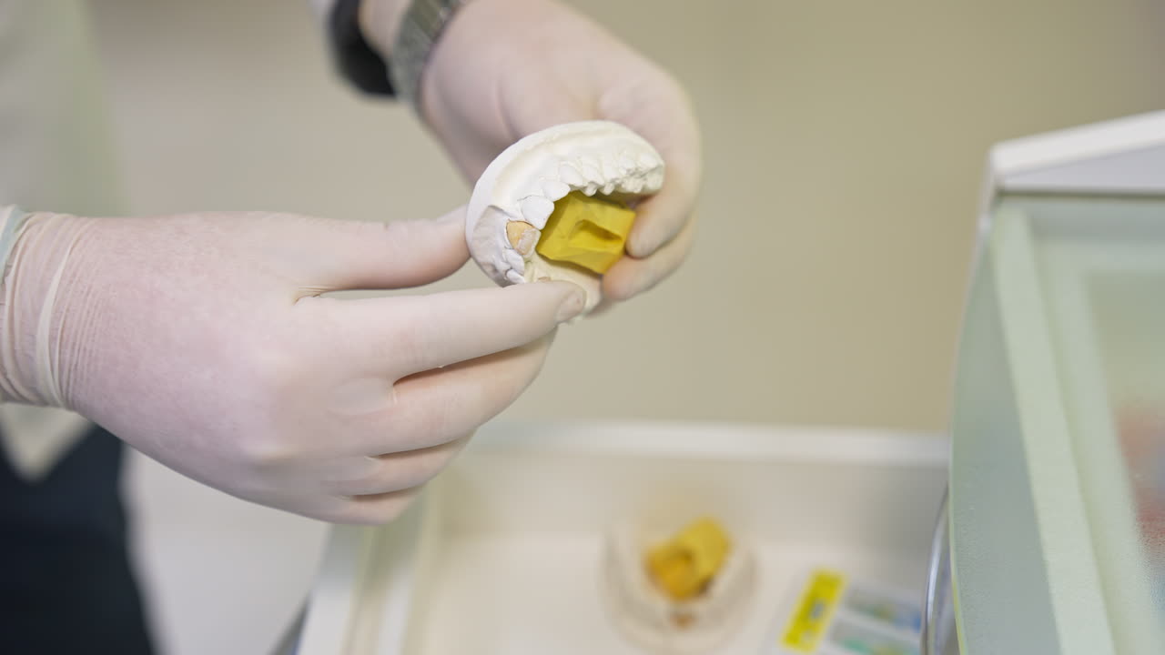 치과 의사가 치과 모델을 검사하고 있습니다.