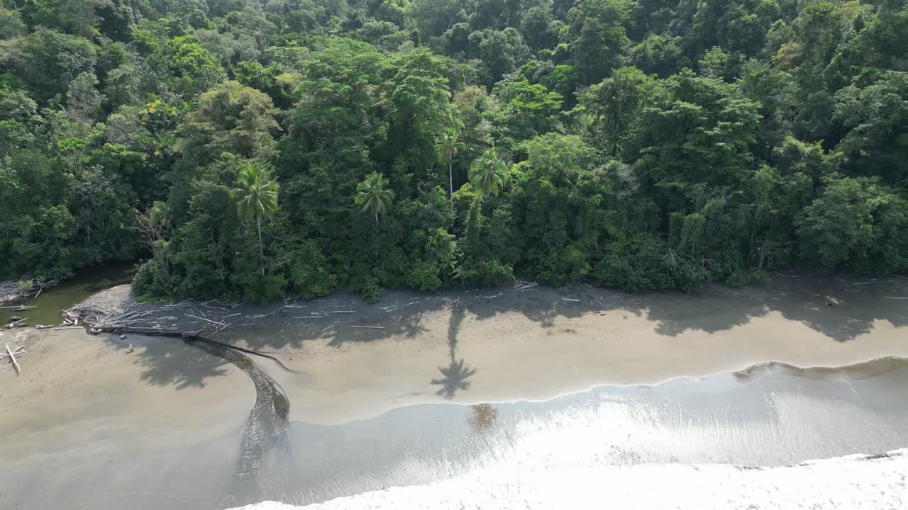 playa aislada y selva exuberante en el parque nacional de utría en el departamento de chocó en la costa del pacífico en colombia