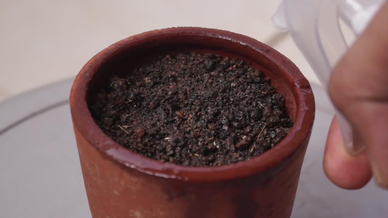 regar el suelo después de plantar la semilla de la planta