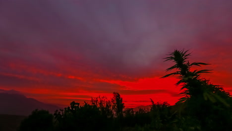 Asombrosamente-Brillante-Puesta-De-Sol-Sobre-Los-árboles-Al-Atardecer---Paisaje-Nublado-De-Lapso-De-Tiempo