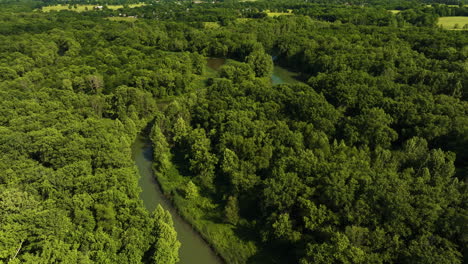 aerial view over river surrounded by green lush forest - drone shot