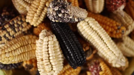 a-slider-shot-of-corn-in-peru