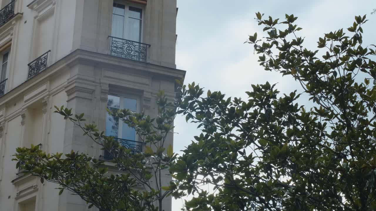 cerca de un edificio de haussmann en parís con un árbol en frente
