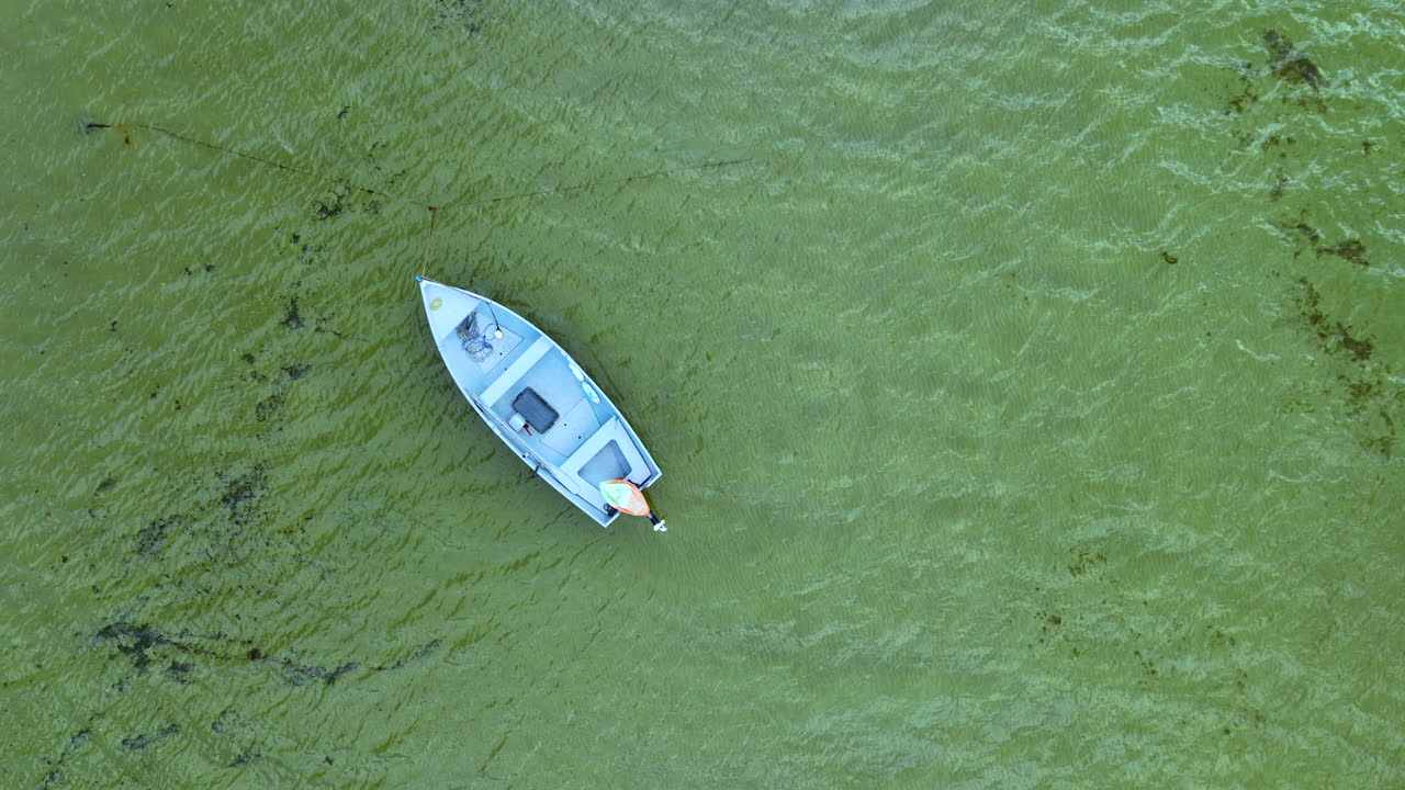 fotografía aérea de arriba hacia abajo de un pequeño barco navegando a través de una vibrante agua costera cubierta de algas, destacando un sorprendente contraste entre el mar verde vivo y el gris elegante del barco