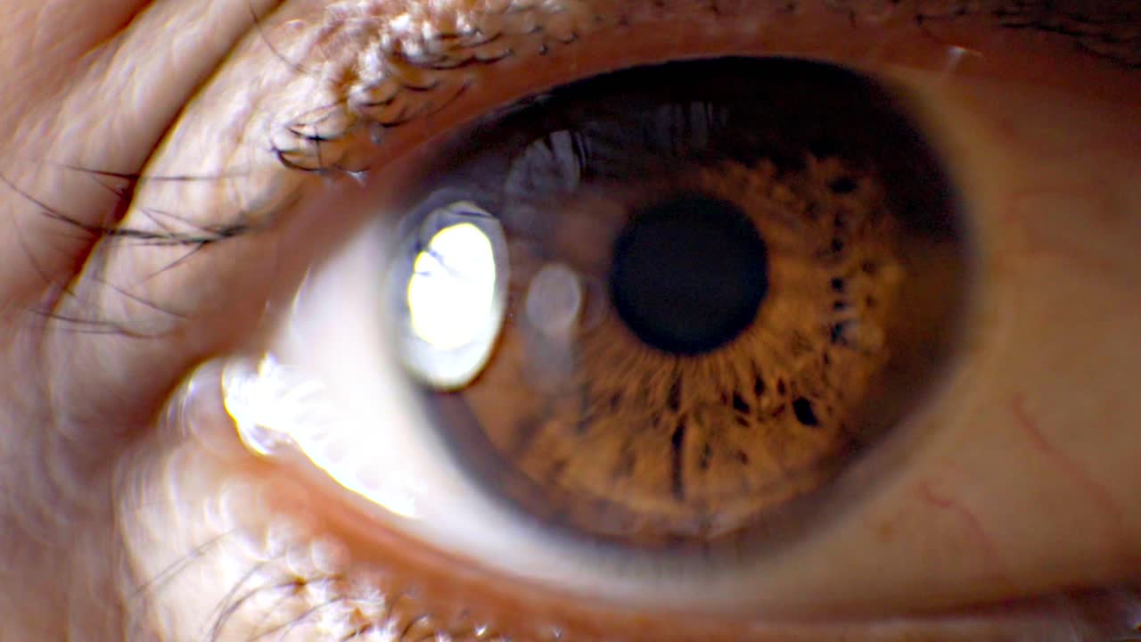 갈색 눈 소녀 닫고 열린 눈 클로즈업 뷰