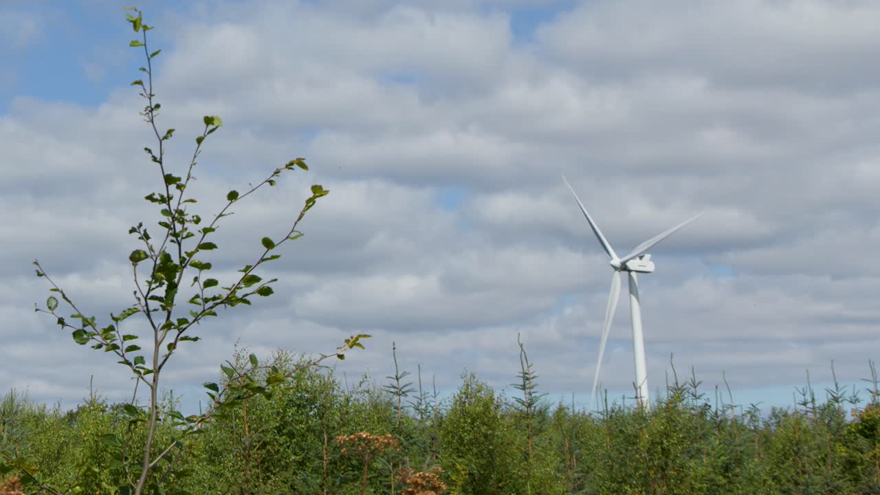 Wind turbines spin steadily above green landscape, captured in daylight with static wide shot framing