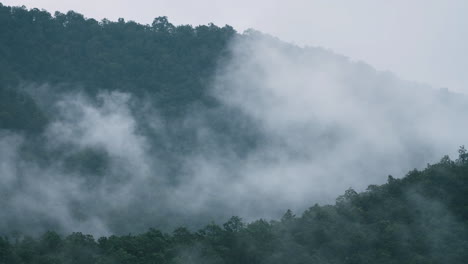 Zeitraffer-Des-Nebelwaldes---üppig-Grüne-Dschungelberglandschaft