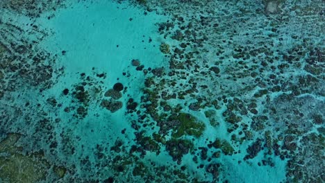 shallow seascape with coral reef seen through clear blue waters