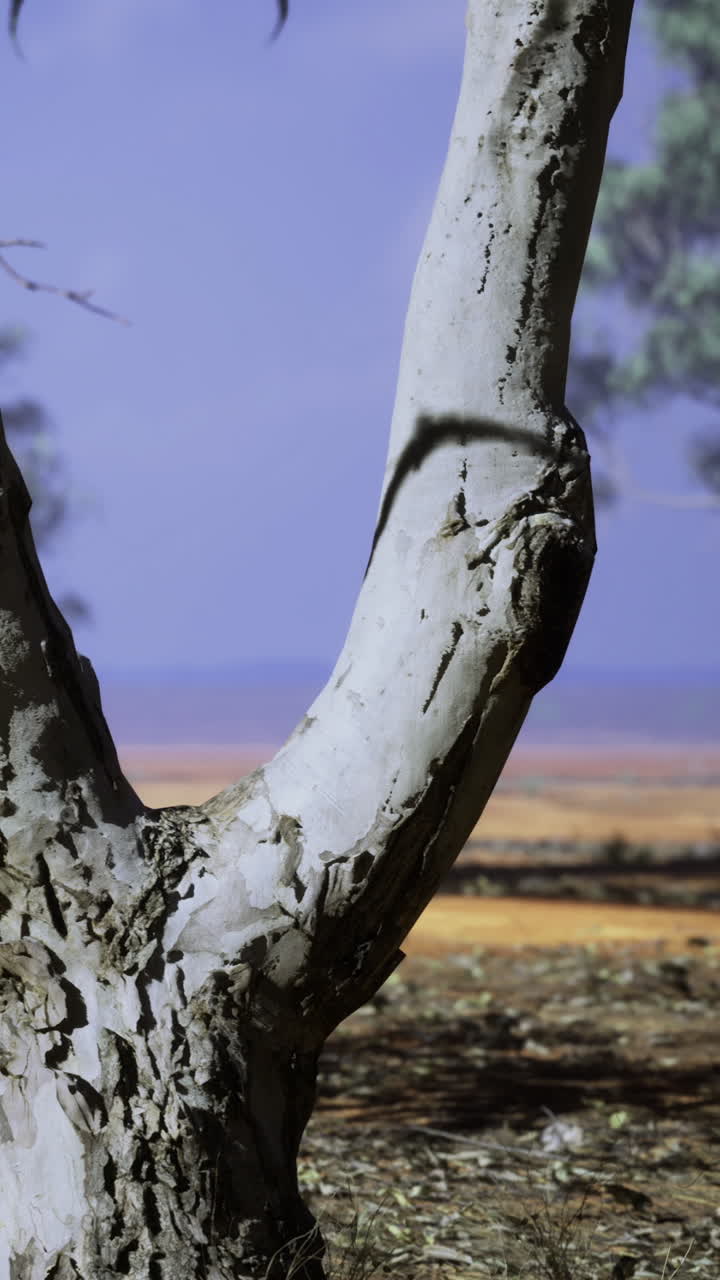 Nature scene with tree trunk in outdoor setting near water body
