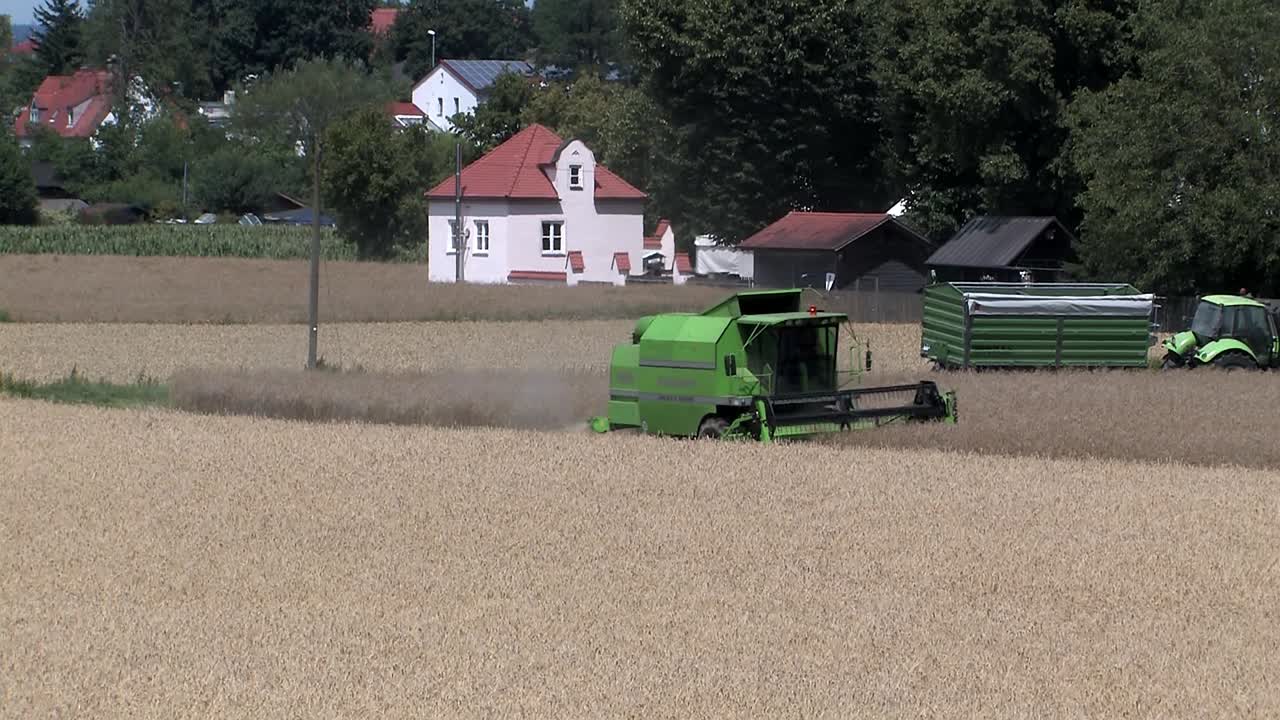 cosecha de colza a principios de verano en el oeste de ingolstadt, baviera, alemania