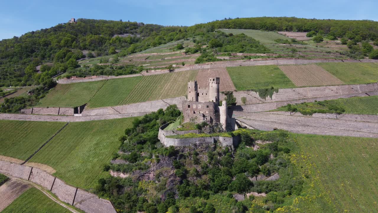 las ruinas del castillo de burg ehrenfels en medio de los viñedos de la ladera del valle del rin medio en rudesheim, alemania
