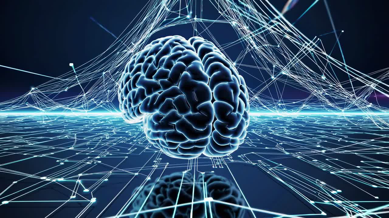 Human Brain with Digital Network