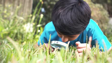 cute boy looking at grass with a magnifying glass