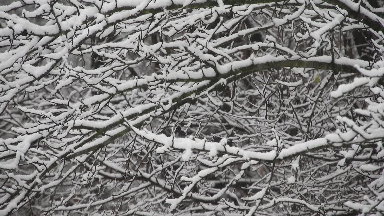 Stunning winter scenery