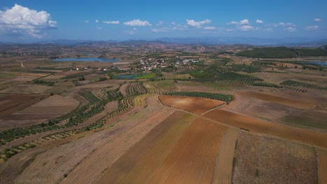 Autumn-Harvest:-Beautiful-Olive-Tree-Hills-and-Brown-Agricultural-Parcels-in-a-Tranquil-Village-Landscape-in-Albania