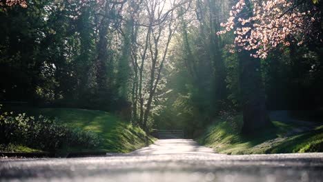 Relaxing-walkway-in-the-spring-time-in-the-park