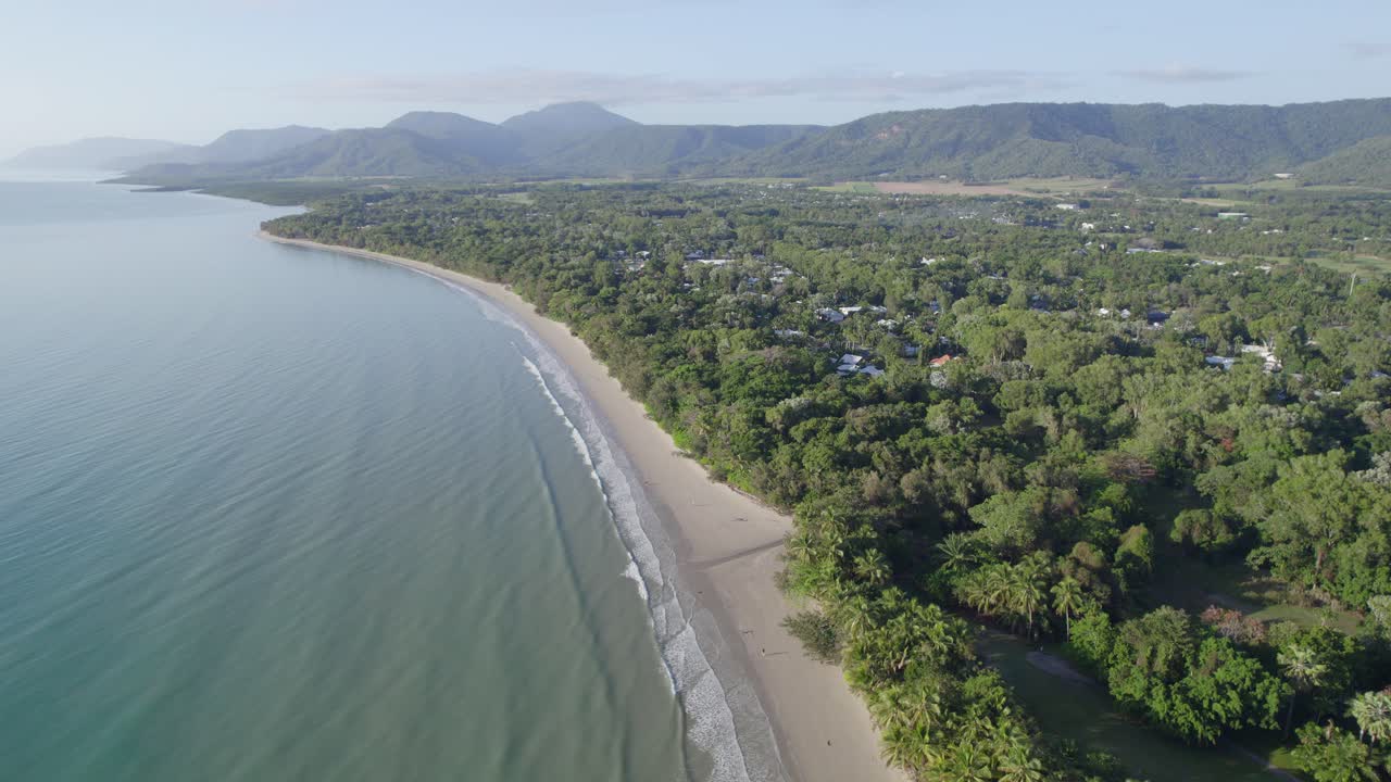 exuberantes palmeras en la costa de la playa de cuatro millas en port douglas, queensland, australia