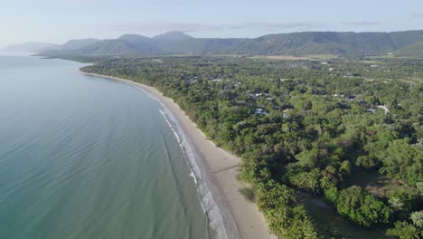 Lush-Palm-Trees-At-Seacoast-Of-Four-Mile-Beach-In-Port-Douglas,-Queensland,-Australia