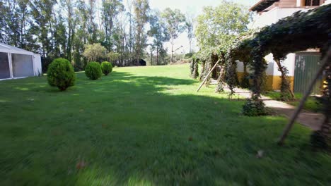 volando hacia atrás a través de una pasarela cubierta de hiedra que une la finca con la marquesina de la tienda