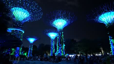 supertree grove at gardens by the bay at night