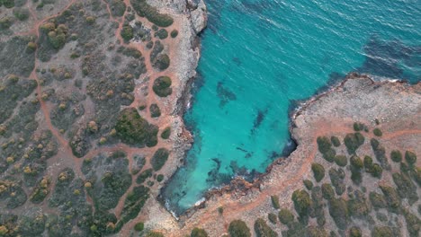 Vista-Aérea-De-Una-Pequeña-Playa-Impresionante-De-Cala-Petita-Cerca-De-Sa-Coma-Y-Porto-Cristo-En-Mallorca,-España