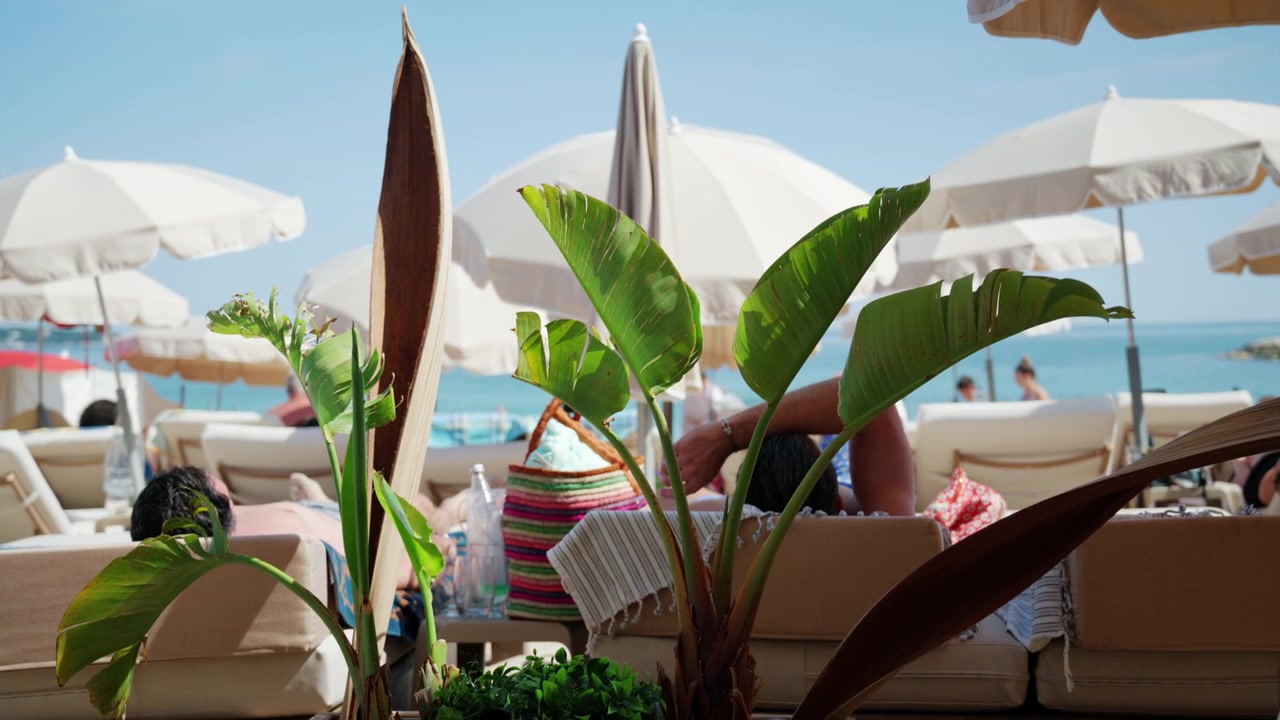 Elegante area lounge sulla spiaggia con ombrelloni, piante tropicali e vista mare, in una soleggiata giornata estiva.