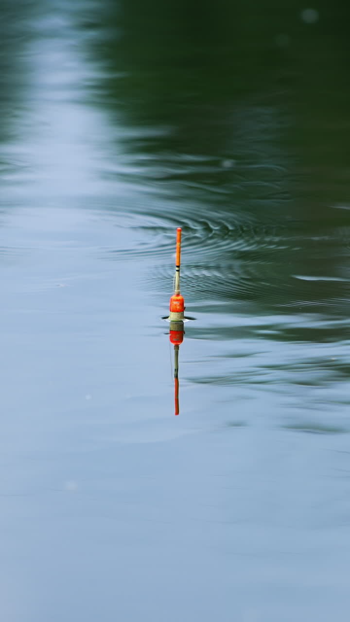 Fishing float holding still in the peaceful river. Little circle appearing on the water surface. Blurred backdrop. Vertical video